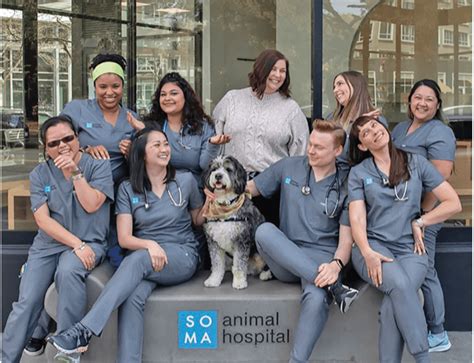 soma animal hospital|About Our Veterinary Hospital .